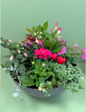 Morsdags-sammenplantning