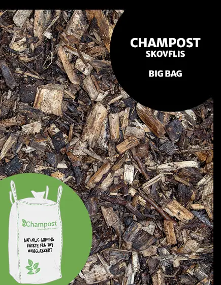 Skovflis fra Champost