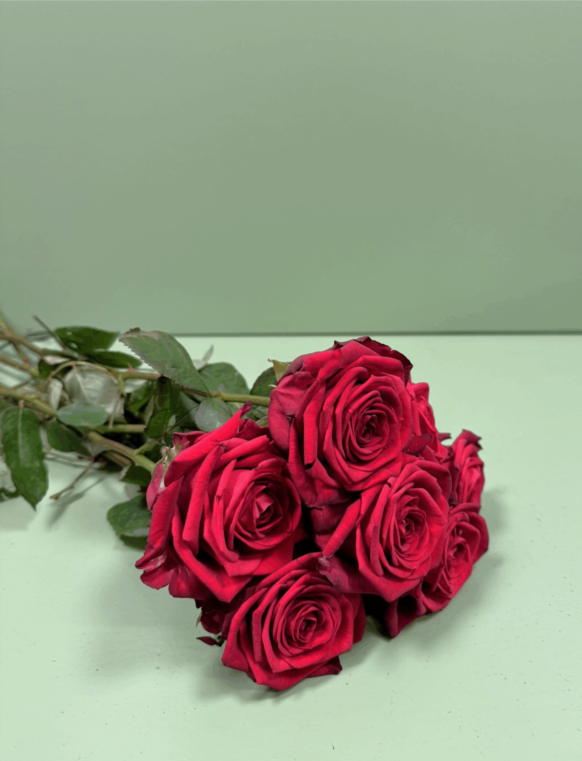 Kasteroser fra Blomstertorvet