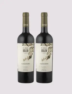 2 FL CASA BOLLÉN CARMENERE