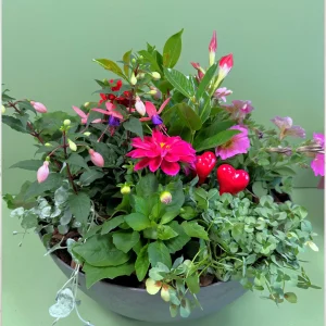 Mors Dags Sammenplantning fra Blomstertorvet